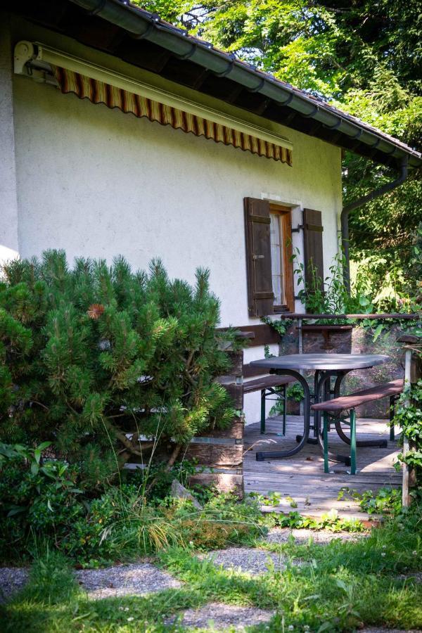 Ferienhaus Schetteregg Kültér fotó
