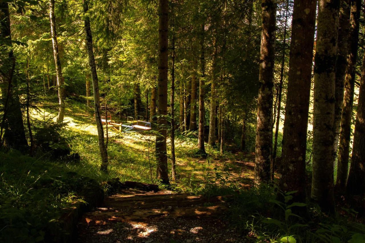 Ferienhaus Schetteregg Kültér fotó