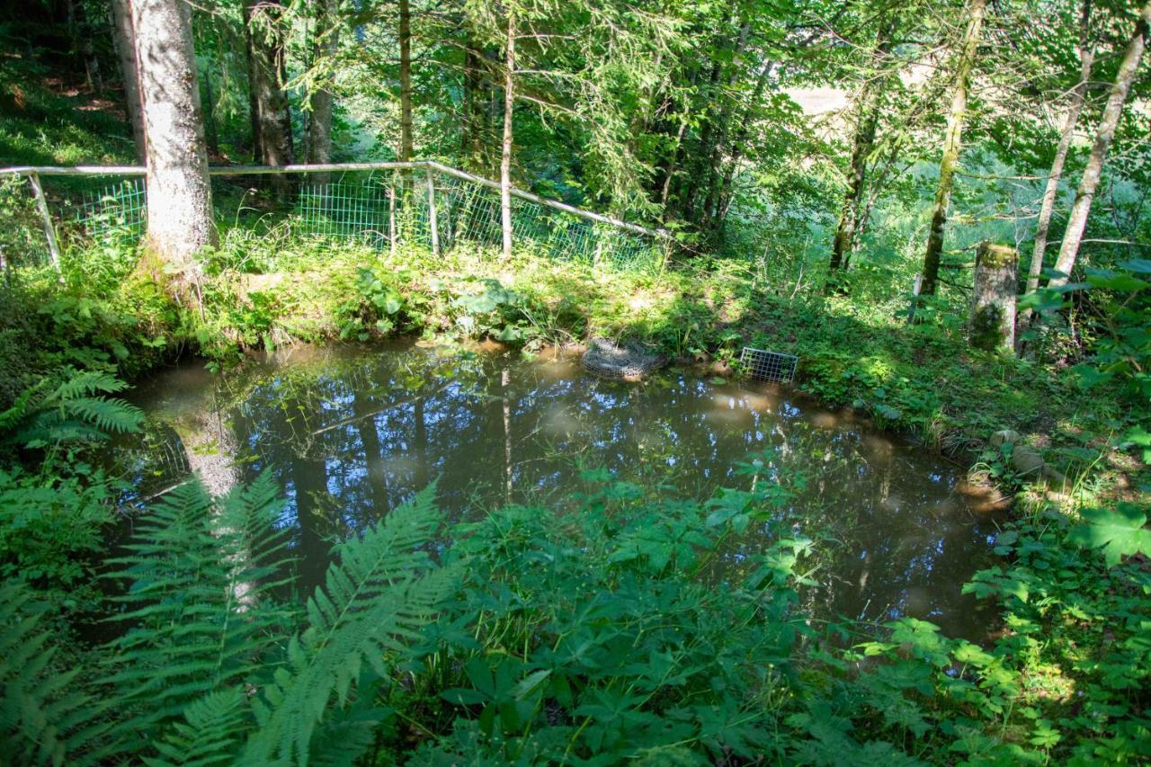 Ferienhaus Schetteregg Kültér fotó